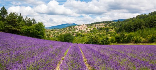 Тест по географии: Франция. Географическое положение, природные условия и ресурсы (11 класс)