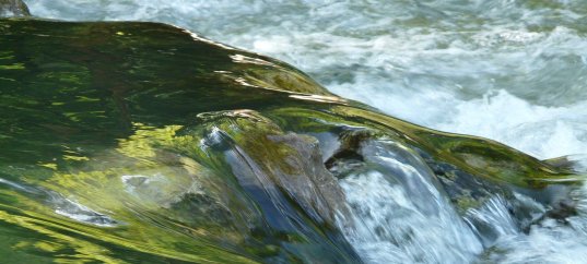 Тест по географии: Из чего состоит гидросфера (5-6 класс)