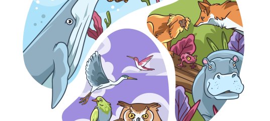 Тест по биологии: Зоология — наука о животных (8 класс)