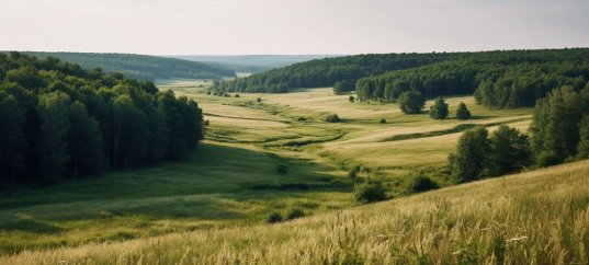 Тест по географии: Степи и лесостепи (8 класс)