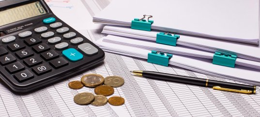 Викторина по обществознанию: Налогообложение и субсидирование (10 класс, углублённый уровень)