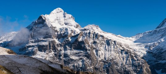 Викторина по географии: Южная Азия (11 класс)