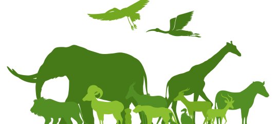 Тест по биологии: Показатели популяций (11 класс)