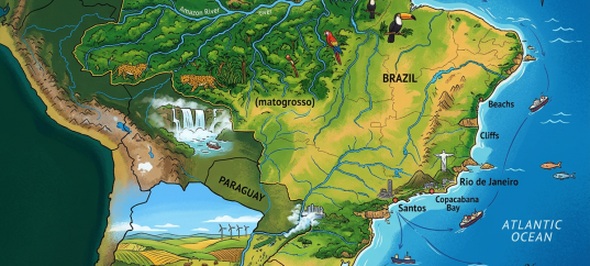 Тест по географии: Латинская Америка. Атлантический регион (11 класс)