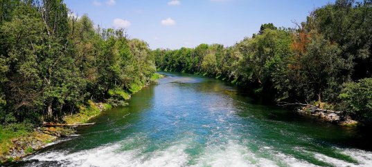 Тест по географии: Как «работают» реки (5-6 класс)