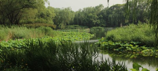 Тест по географии: Озёра и болота (5-6 класс)