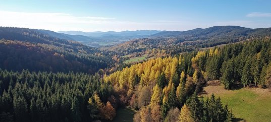 Тест по географии: Европейский Северо-Запад (9 класс)