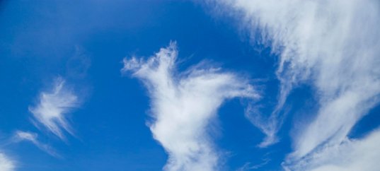 Тест по окружающему миру: Состав воздуха (3 класс)