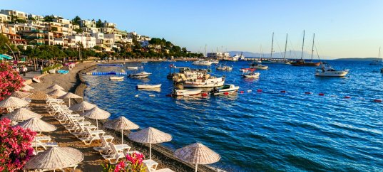 Тест по географии: Юго-Западная Азия и Северная Африка. Внутренние различия (11 класс)