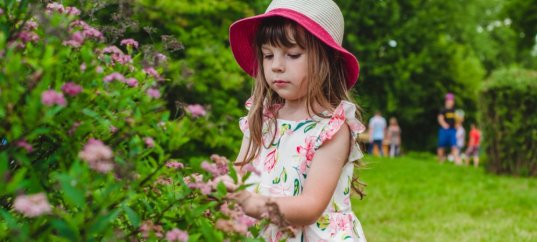 Тест по окружающему миру: Летние наблюдения (2 класс)