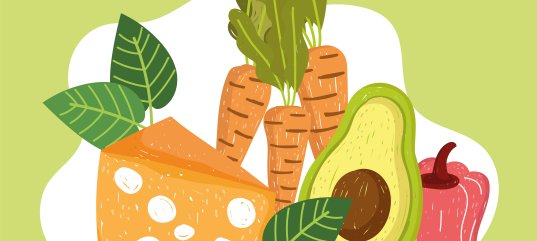 Тест по биологии: Нормы питания (9 класс)