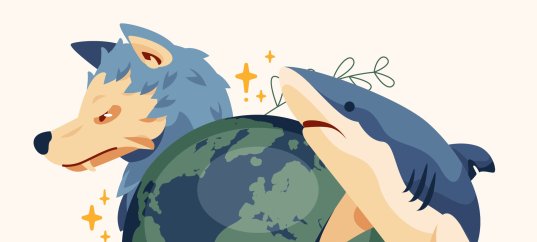 Тест по географии: Биосфера — сфера жизни (5-6 класс)