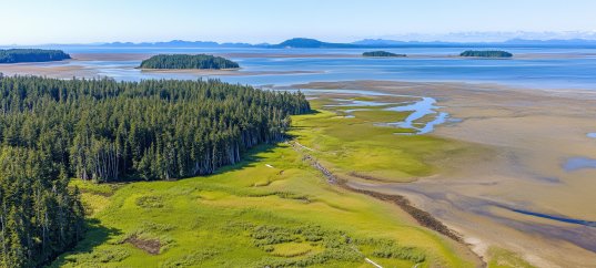 Тест по географии: Центральная Россия (9 класс)