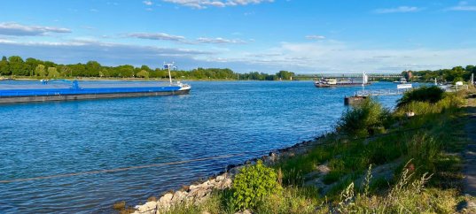 Тест по окружающему миру: Путешествие по Волге (4 класс)