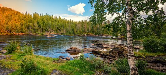 Тест по географии: Природные комплексы (5-6 класс)