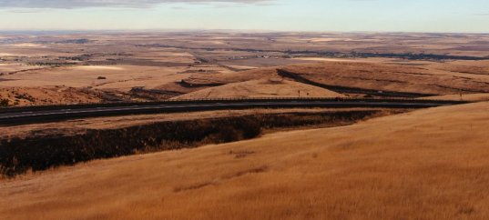 Тест по окружающему миру: Царство тепла и сухих ветров (4 класс)