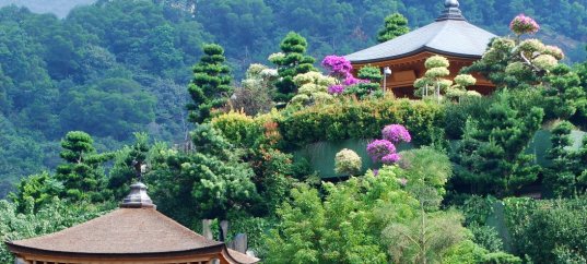 Тест по географии: Япония. Географическое положение, природные условия и ресурсы (11 класс)