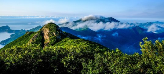 Тест по географии: Зарубежная Азия. Природное своеобразие и ресурсы (11 класс)