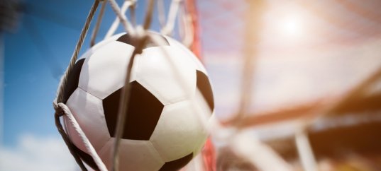 Тест по физкультуре: Футбол (10-11 класс)