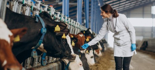 Тест по географии: Каковы особенности животноводческой отрасли (9 класс)