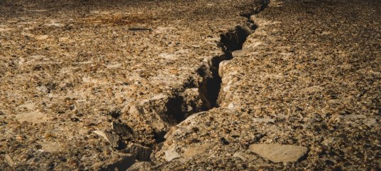 Тест по географии: Какие движения испытывает земная кора (5-6 класс)