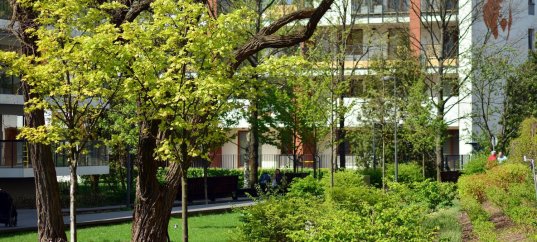 Тест по биологии: Использование растений для защиты окружающей среды (7 класс)