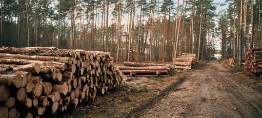 Тест по географии: Отрасли специализации Восточной Сибири (9 класс)