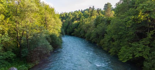 Тест по географии: Реки — артерии Земли (5-6 класс)
