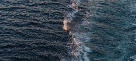 Тест по географии: Океанические течения (7 класс)