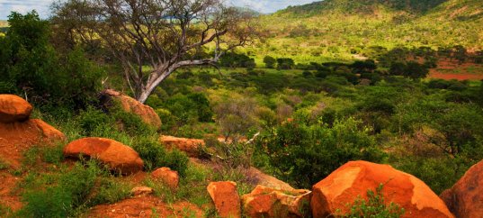 Тест по географии: Тропическая Африка и ЮАР. Территория, природные условия и ресурсы (11 класс)