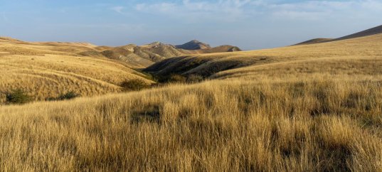 Тест по окружающему миру: Зона степей (4 класс)