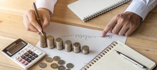 Викторина по обществознанию: Бюджетный процесс (10 класс, углублённый уровень)