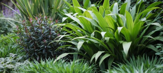 Тест по биологии: Типы клеточного питания. Фотосинтез и хемосинтез (10 класс)