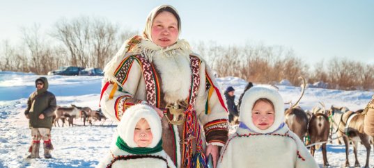 Тест по географии: Чем заняты коренные жители тундры (8 класс)