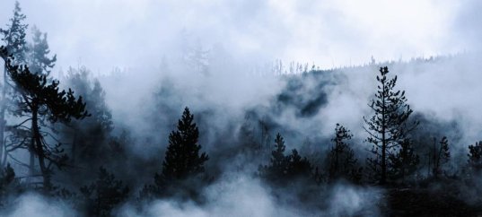 Тест по географии: Влага в атмосфере (5-6 класс)