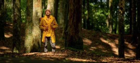 Тест по окружающему миру: Роль леса в природе и жизни людей (4 класс)