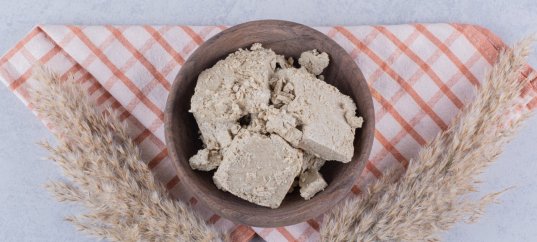 Тест по биологии: Дрожжи (5-6 класс)