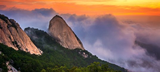 Тест по географии: Зарубежная Азия (11 класс)