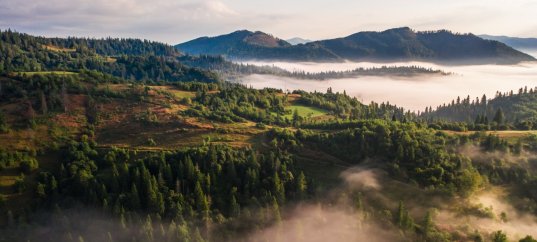 Тест по географии: Природное разнообразие и его роль в жизни людей (10 класс)