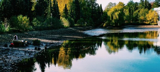 Тест по окружающему миру: Ha воде и в лесу (2 класс)