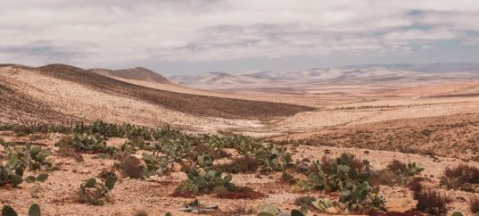 Тест по окружающему миру: Земля, раскалённая солнцем (4 класс)