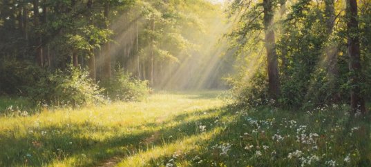 Тест по биологии: Ярусное расположение растений в лесу (5 класс)