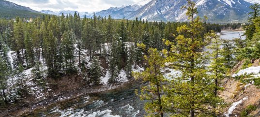 Тест по географии: Западная Сибирь (9 класс)