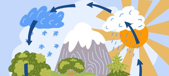 Тест по географии: Как происходит Мировой круговорот воды (5-6 класс)