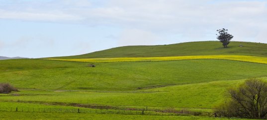 Тест по географии: Рельеф Земли. Равнины (5-6 класс)