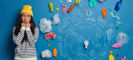 Тест по географии: Энергетическая и сырьевая проблемы. Почему эти проблемы стали глобальными (11 класс)