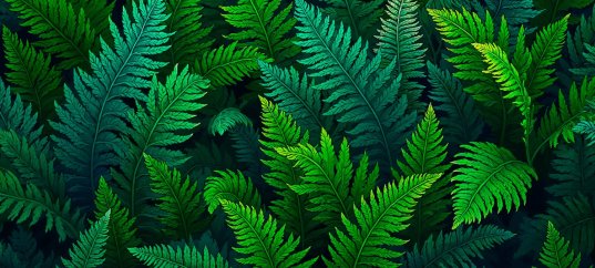 Тест по биологии: Размножение папоротников (5-6 класс)