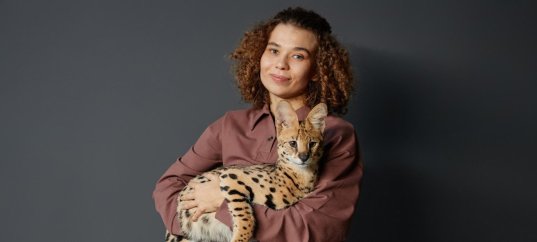 Тест по биологии: Отличия человека от животных (11 класс)