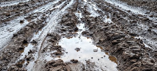 Тест по ОБЖ: Сель (7 класс)