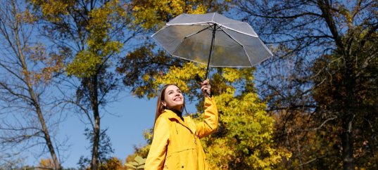 Тест по географии: Погода и климат (5-6 класс)